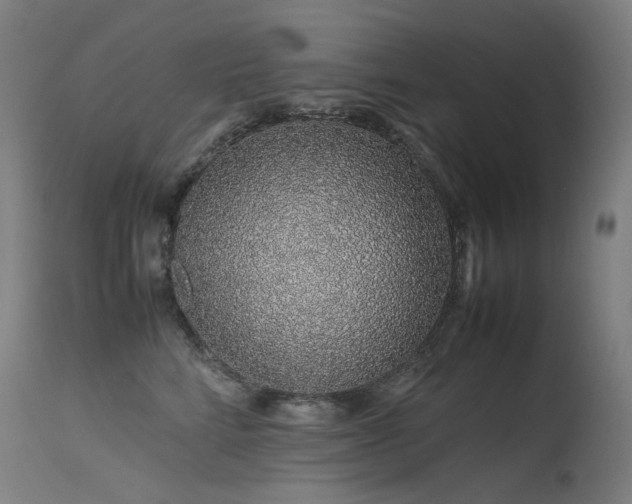 X0000115640712200911101516