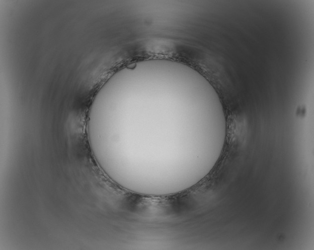 X0000115640713200911101516