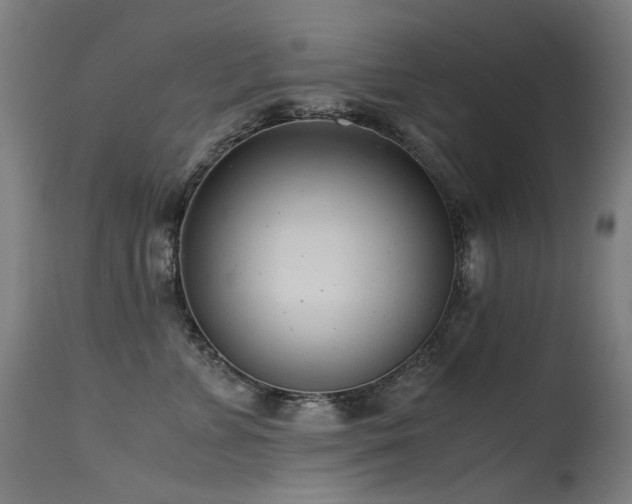 X0000115640715200911101516
