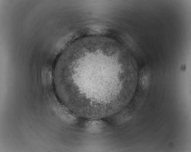 X0000115640716200911101516