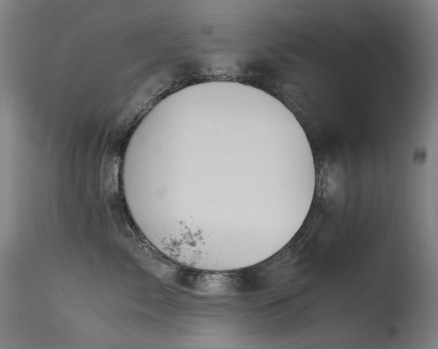 X0000115640717200911101516
