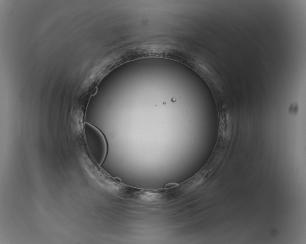 X0000115640718200911101516