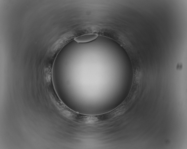 X0000115640719200911101516
