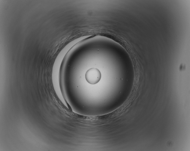 X0000115640720200911101516