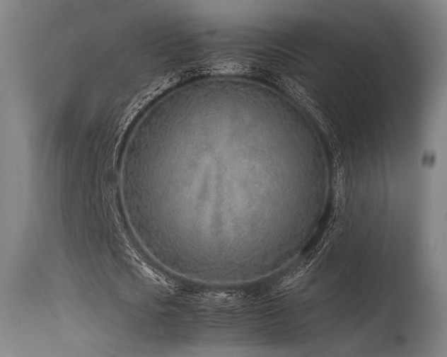 X0000115640721200911101516