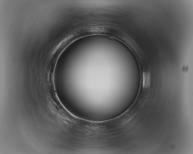 X0000115640723200911101516