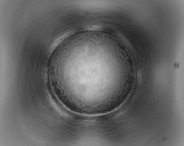 X0000115640725200911101516
