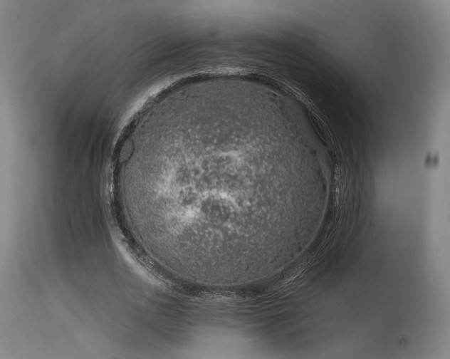 X0000115640726200911101516
