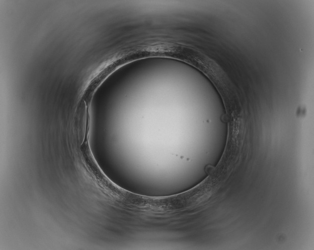 X0000115640727200911101516