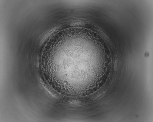 X0000115640729200911101516