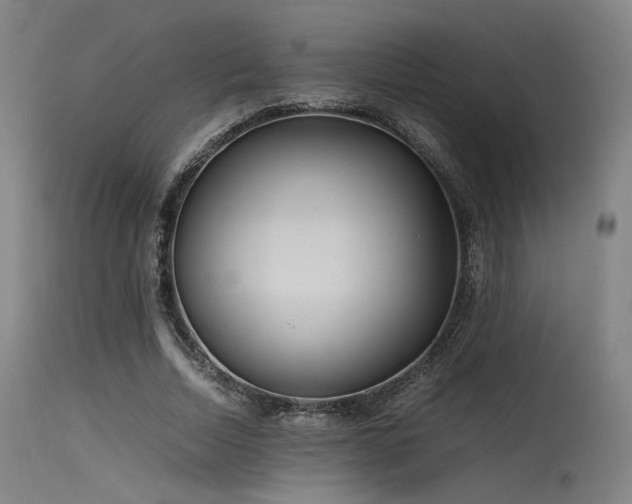 X0000115640730200911101516