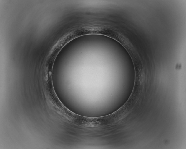 X0000115640731200911101516