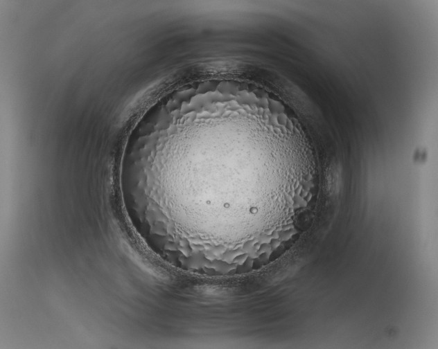 X0000115640733200911101516