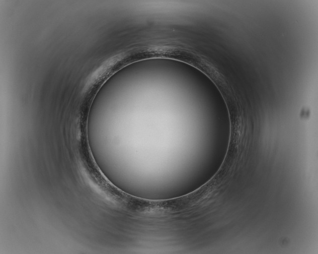 X0000115640734200911101516