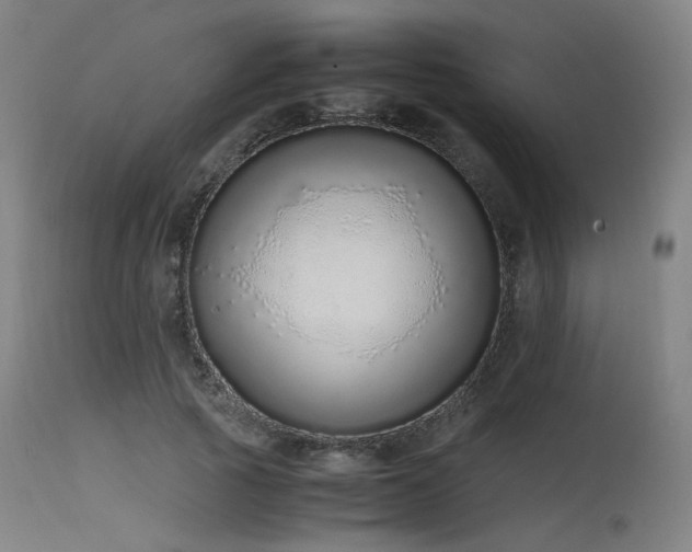 X0000115640737200911101516