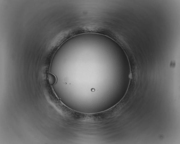 X0000115640738200911101516