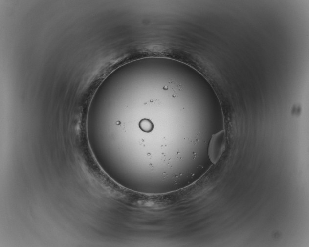 X0000115640739200911101516
