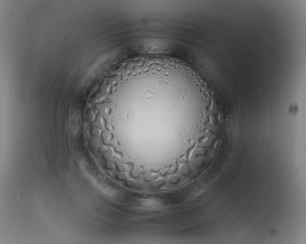 X0000115640741200911101516