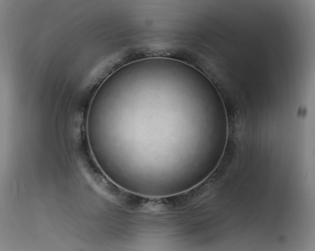 X0000115640742200911101516