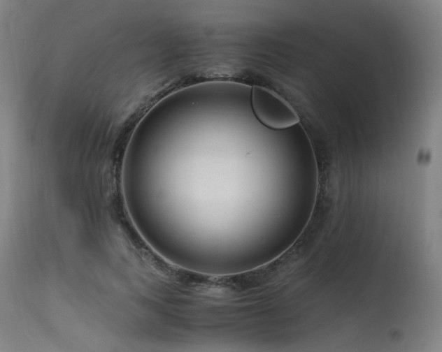 X0000115640743200911101516