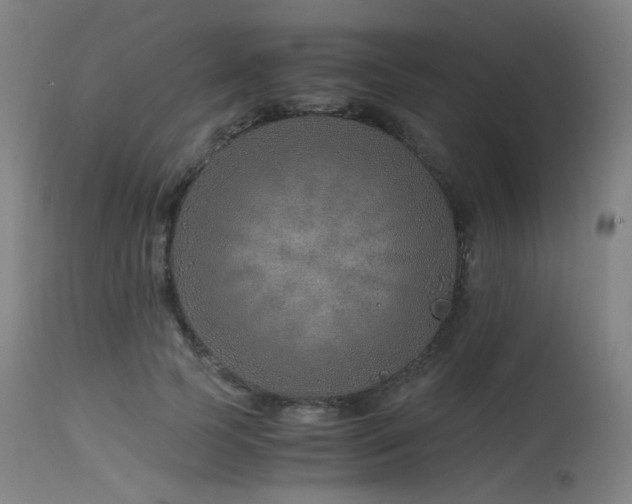 X0000115640745200911101516