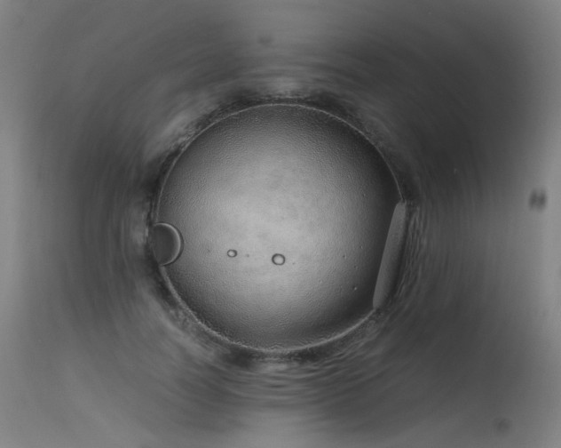 X0000115640746200911101516