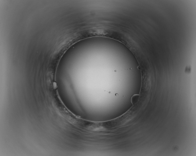 X0000115640747200911101516