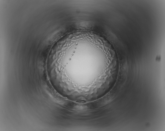 X0000115640749200911101516