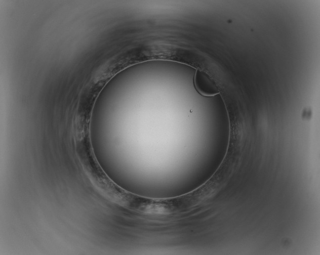 X0000115640751200911101516