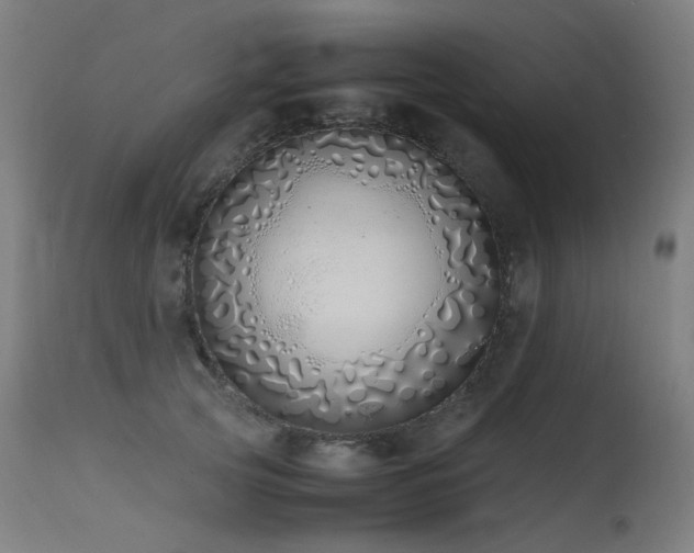 X0000115640753200911101516