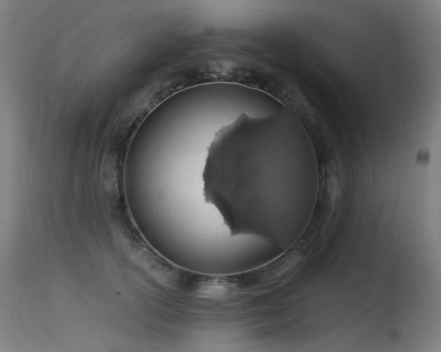 X0000115640754200911101516