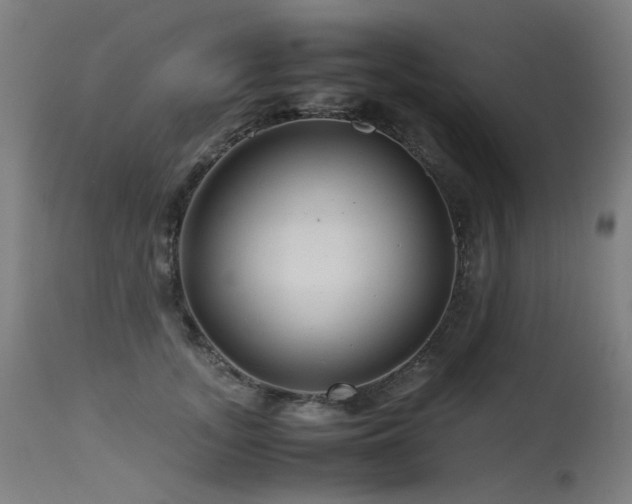 X0000115640755200911101516