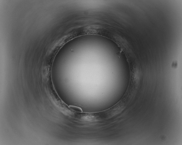 X0000115640759200911101516