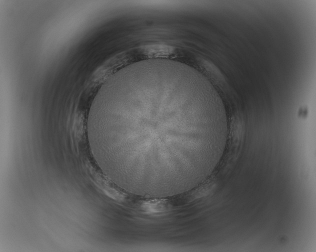 X0000115640761200911101516