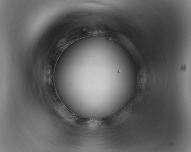X0000115640762200911101516