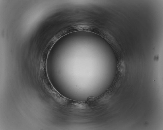 X0000115640763200911101516