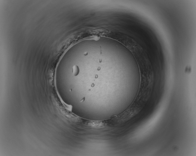 X0000115640767200911101516