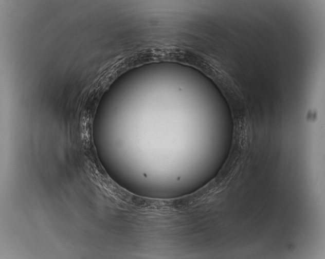 X0000115640770200911101516