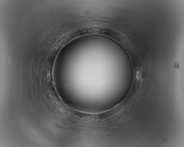 X0000115640771200911101516
