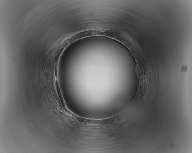 X0000115640773200911101516