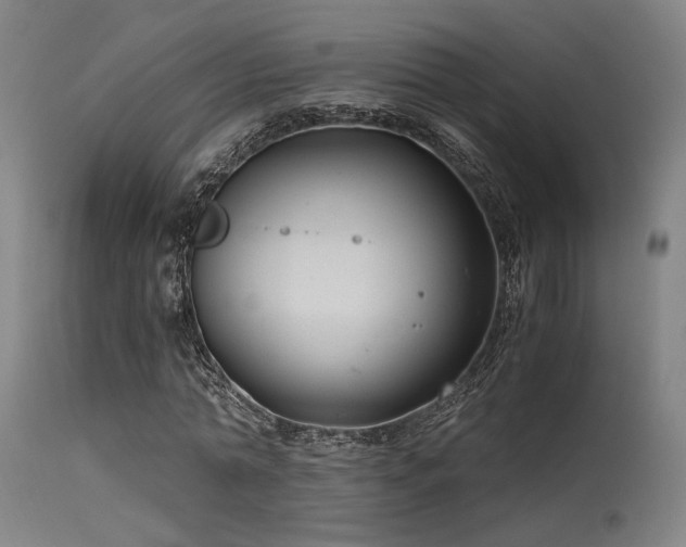 X0000115640774200911101516