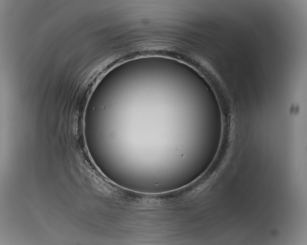 X0000115640777200911101516