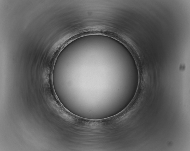 X0000115640778200911101516