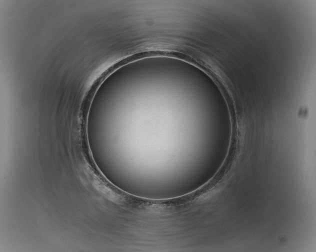 X0000115640779200911101515