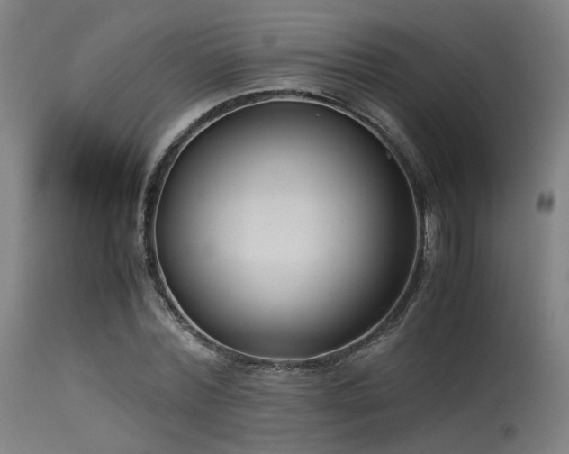 X0000115640780200911101515