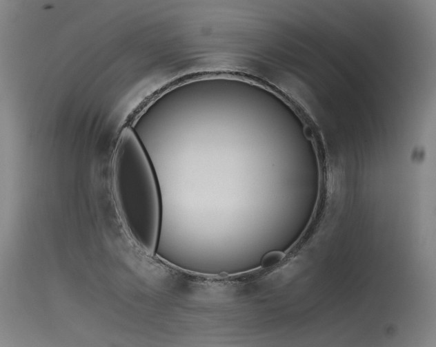 X0000115640781200911101515