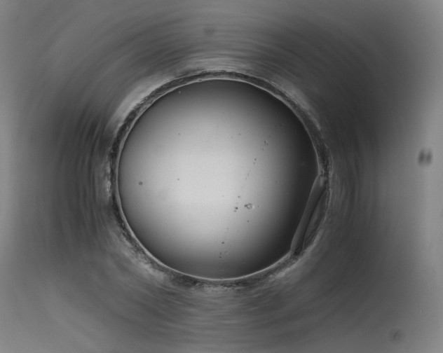 X0000115640782200911101515