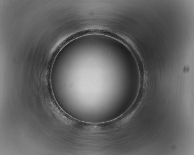 X0000115640783200911101515
