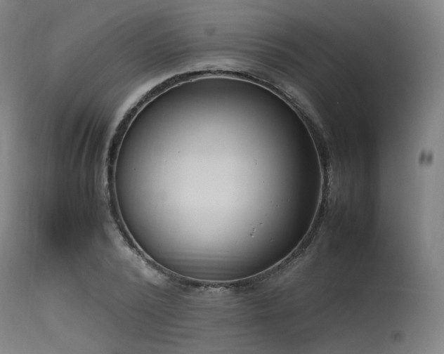 X0000115640784200911101515