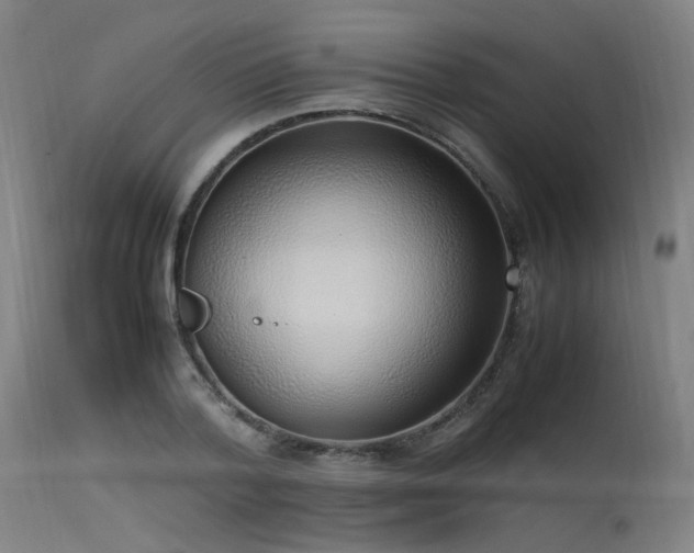 X0000115640788200911101515